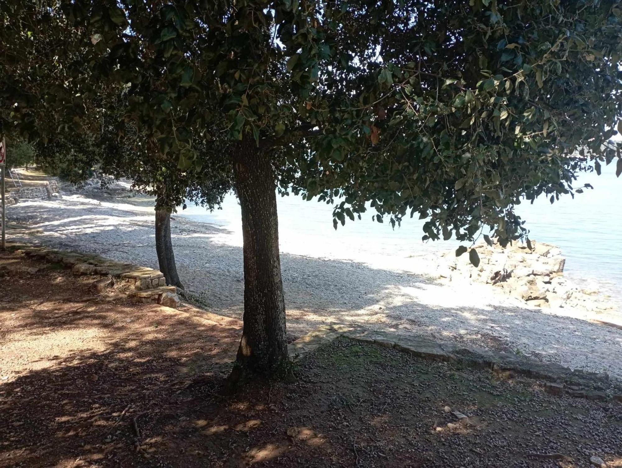 Apartman Angela Rovinj Exteriér fotografie